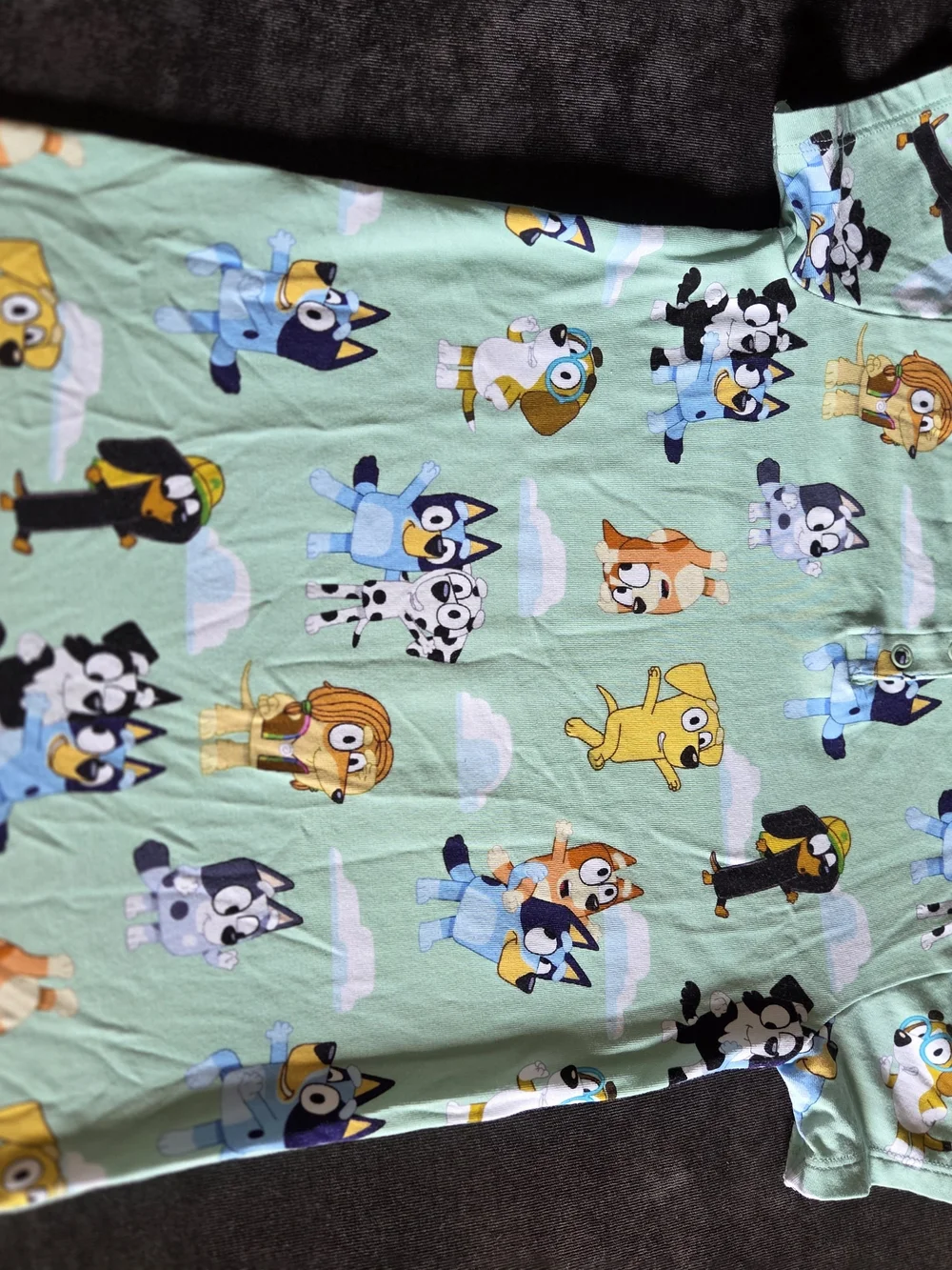 Little Sleepies Bluey Skys The Limit Play Romper 3T